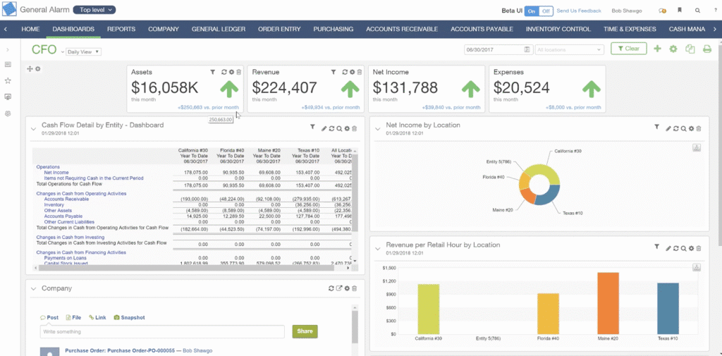 Dashboard showing financial metrics: cash flow, revenue, net income, and expenses with upward green arrows. Includes tables and charts showing net income by location, cash flow details, and revenue per retail hour by location.