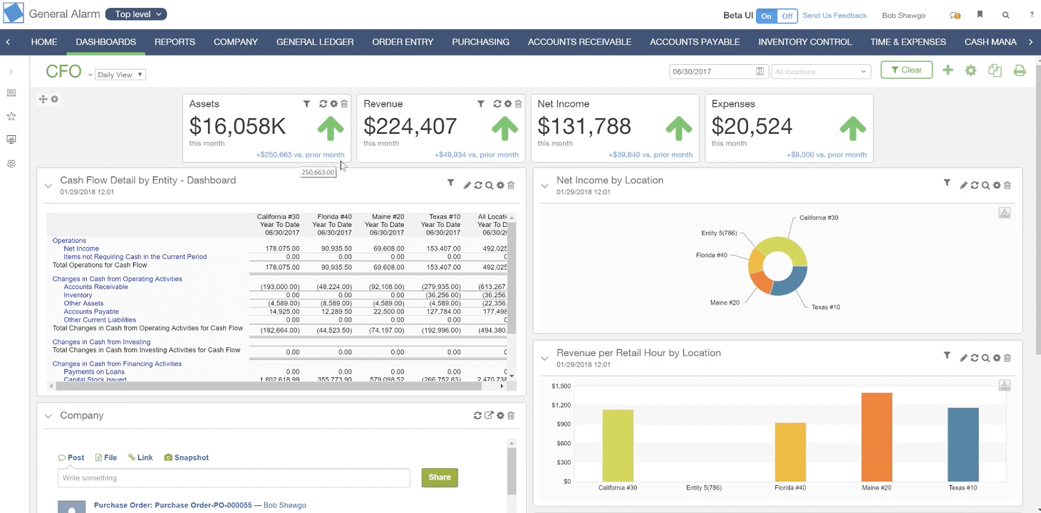 Dashboard showing financial metrics: cash flow, revenue, net income, and expenses with upward green arrows. Includes tables and charts showing net income by location, cash flow details, and revenue per retail hour by location.